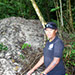 Megapode mound in Koror