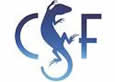 CSF